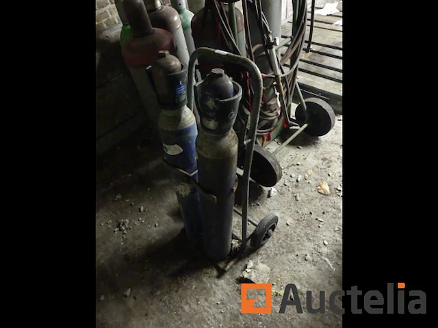 Steekvlam - afbeelding 7 van  9