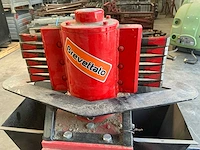 Steenkuismachine scalpellina - afbeelding 3 van  6