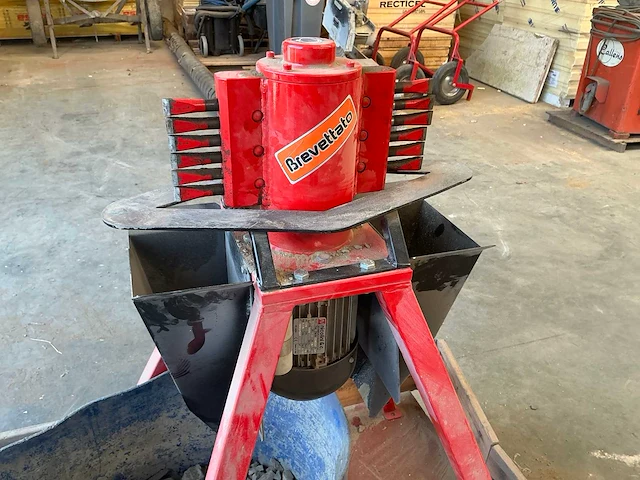 Steenkuismachine scalpellina - afbeelding 4 van  6