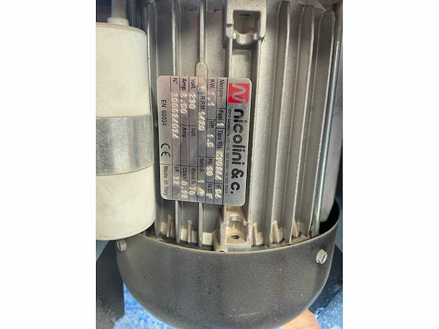 Steenkuismachine scalpellina - afbeelding 5 van  6