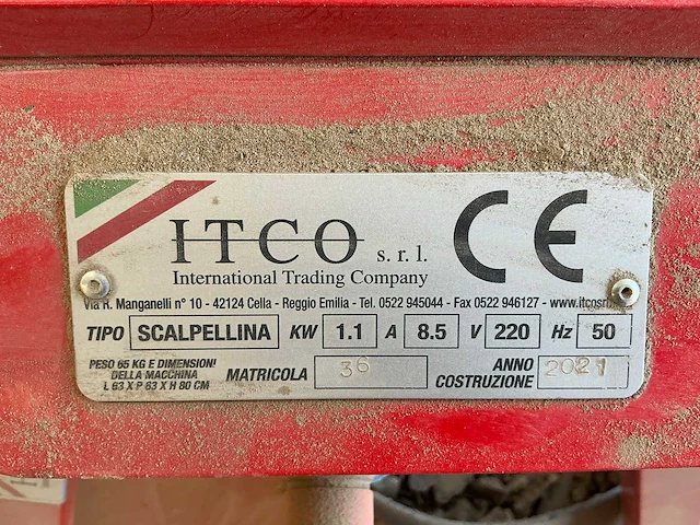 Steenkuismachine scalpellina - afbeelding 6 van  6