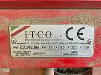 Steenkuismachine scalpellina - afbeelding 6 van  6