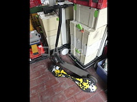 Step en 2-wiel skateboard - afbeelding 5 van  9