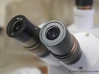 Stereomiscroscoop ssm-3ec2 10-40x - afbeelding 2 van  3
