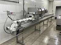 Sterk - pdc40bb - slaughter meat transport systems - 1999 - afbeelding 13 van  17