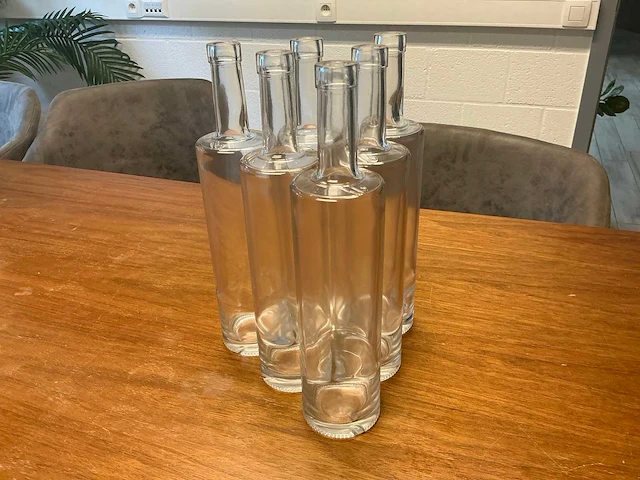 Sterke drank 75cl -fles - glas (11340x) - afbeelding 1 van  6