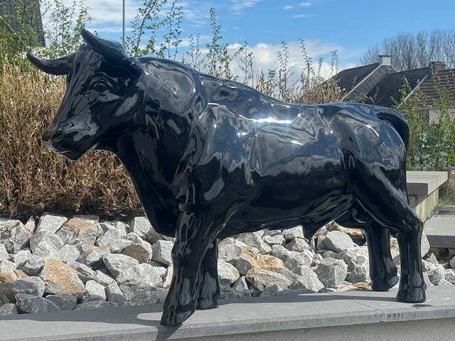 Stier h69cm x l110cm zwart - afbeelding 1 van  3
