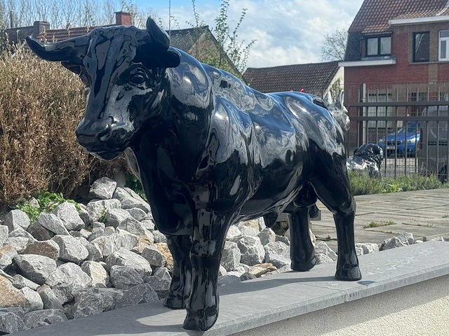 Stier h69cm x l110cm zwart - afbeelding 2 van  3