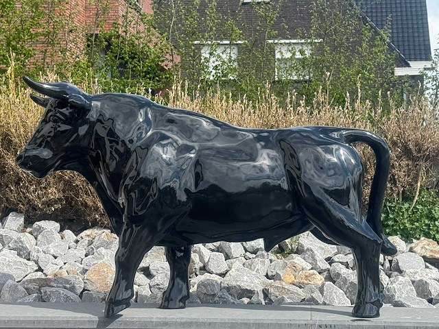 Stier h69cm x l110cm zwart - afbeelding 3 van  3