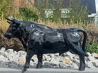 Stier h69cm x l110cm zwart - afbeelding 3 van  3