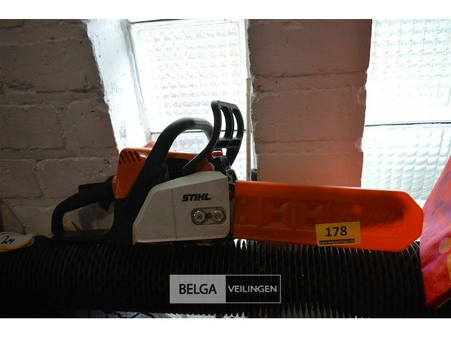 Stihl kettingzaag ms170 zaagblad 30cm - afbeelding 1 van  3