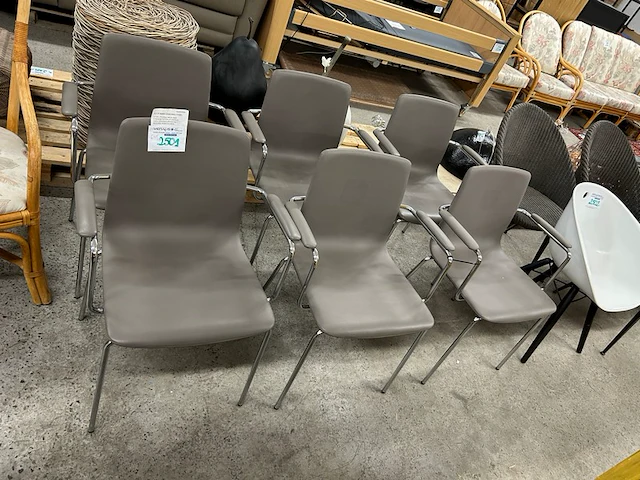 Stoelen pedrali, 6 stuks - afbeelding 1 van  8