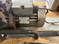 Stolze motovario potplant transportband (7x) - afbeelding 4 van  16