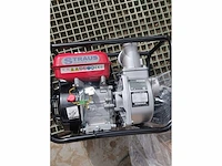 Straus waterpomp (x12) - afbeelding 3 van  14
