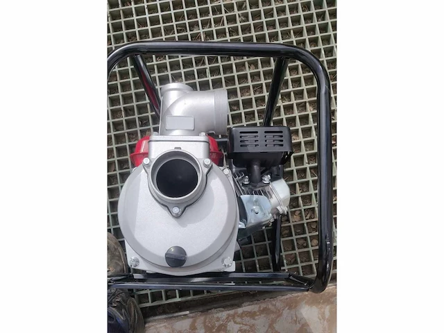 Straus waterpomp (x12) - afbeelding 4 van  14