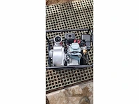 Straus waterpomp (x12) - afbeelding 5 van  14