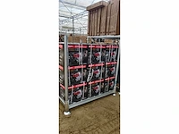 Straus waterpomp (x12) - afbeelding 13 van  14