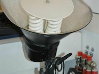 Studioverlichting met een softbox en twee spiraalvormige fluorecentielampen - afbeelding 2 van  4