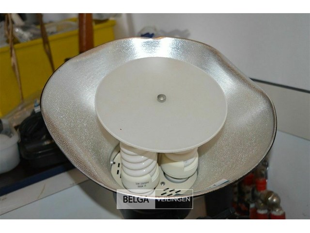 Studioverlichting met een softbox en twee spiraalvormige fluorecentielampen - afbeelding 3 van  4