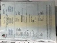 Sunbeam model 9 - afbeelding 27 van  30