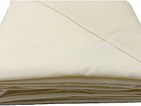 Supbiky vervangend dak paviljoen(3 x 3 m) - afbeelding 3 van  4