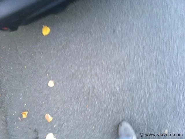 Suv - afbeelding 10 van  17