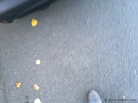 Suv - afbeelding 10 van  17