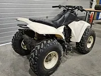 Suzuki lt80 atv quad - afbeelding 5 van  9