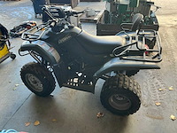 Suzuki ozark quadrunner quad - afbeelding 4 van  6