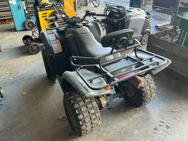Suzuki ozark quadrunner quad - afbeelding 5 van  6
