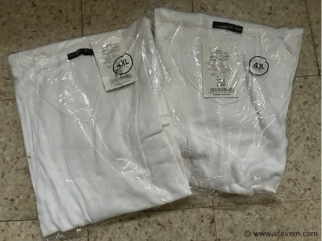 T-shirts grote maat - afbeelding 1 van  1