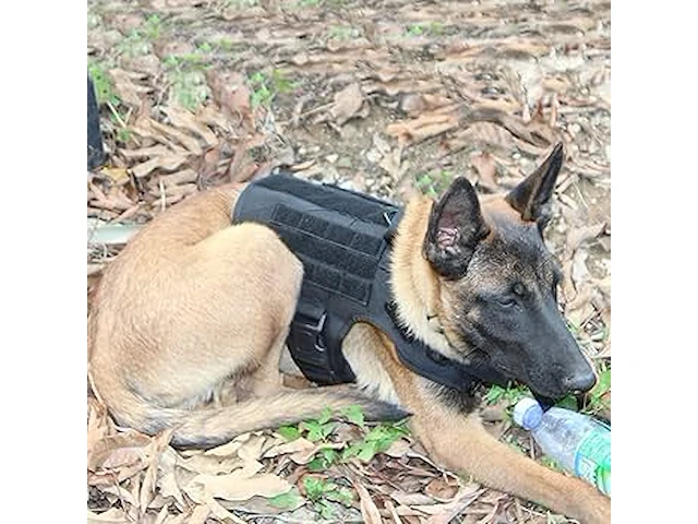 Tactisch hondenharnas xl zwart - afbeelding 2 van  4