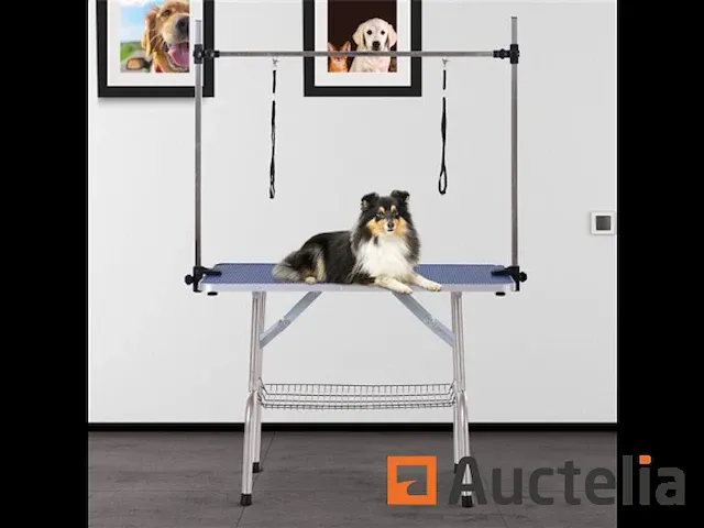 Tafel hondentrimmen metaal instelbaar - afbeelding 2 van  5