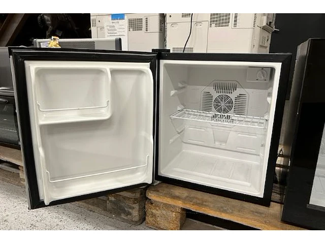 Tafelfrigo candor - afbeelding 2 van  3