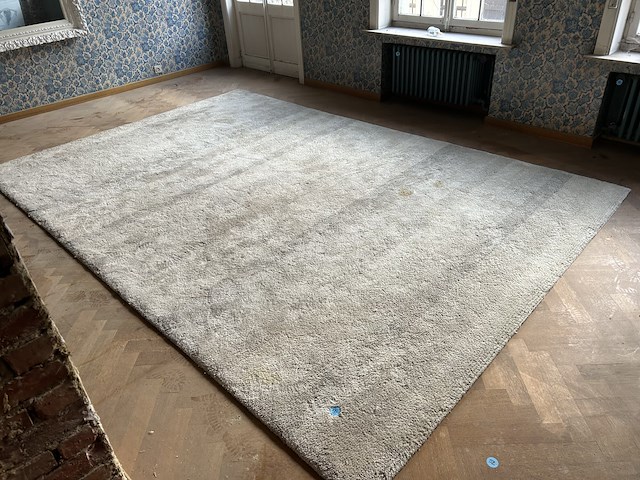 Tapijt 250x380cm - afbeelding 1 van  3