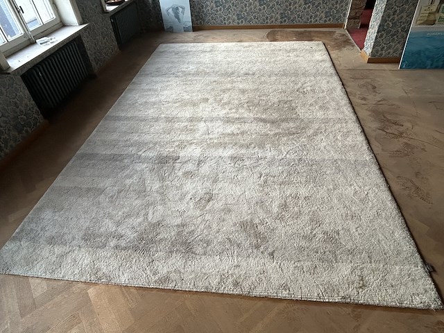 Tapijt 250x380cm - afbeelding 2 van  3