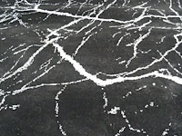 Tapijt osta carpets - afbeelding 2 van  3