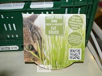 Tapijt reiniger, ±18 imao doekjes, carcharger samsung, 3x comma stream , kattengras - afbeelding 6 van  7