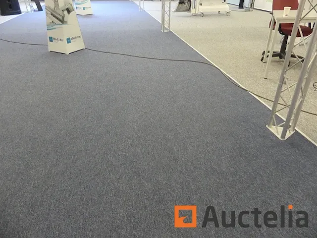 Tapijt stand van expo + staand eten - afbeelding 2 van  3