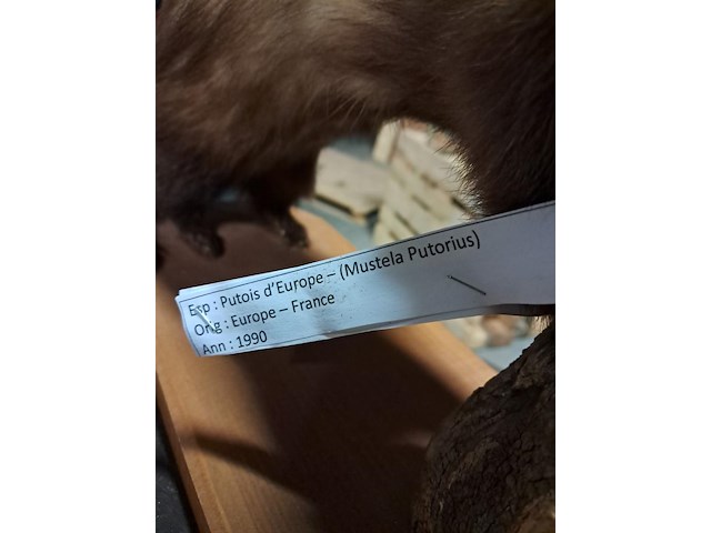 Taxi dermic - afbeelding 3 van  6