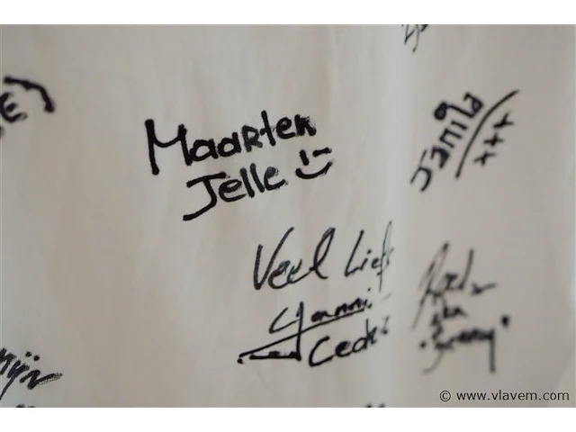 Team supermario shirt. familie acteurs - afbeelding 3 van  4