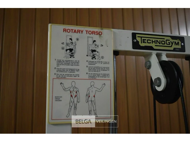 Techno gym rotary torso 50 kg max - afbeelding 4 van  6