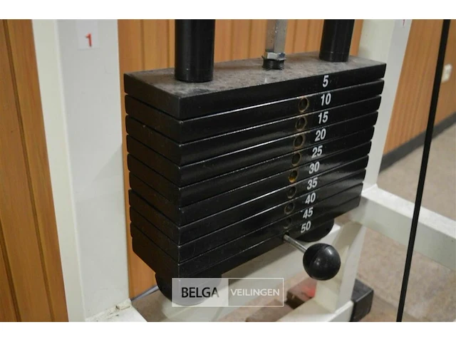Techno gym rotary torso 50 kg max - afbeelding 6 van  6