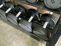 Technogym - dumbbells met pure rek - 14;16;18;20;22;24;26;28;30;32kg - power station - afbeelding 3 van  9