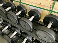Technogym - dumbbells met pure rek - 14;16;18;20;22;24;26;28;30;32kg - power station - afbeelding 6 van  9