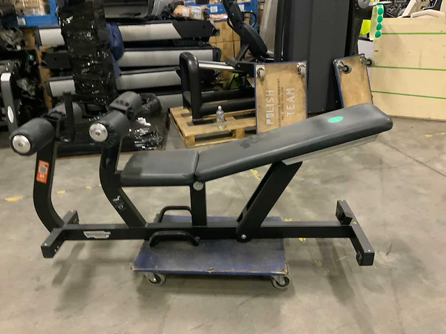 Technogym abdominal crunch bench krachtstation - afbeelding 1 van  4