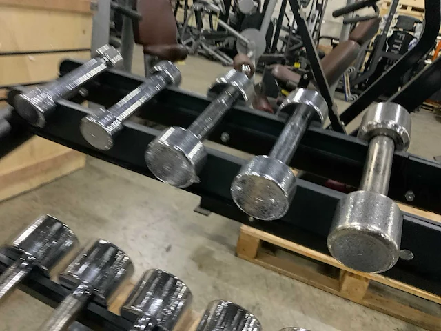 Technogym chrome dumbbells 1 t/m 10kg met rek krachtstation - afbeelding 7 van  7
