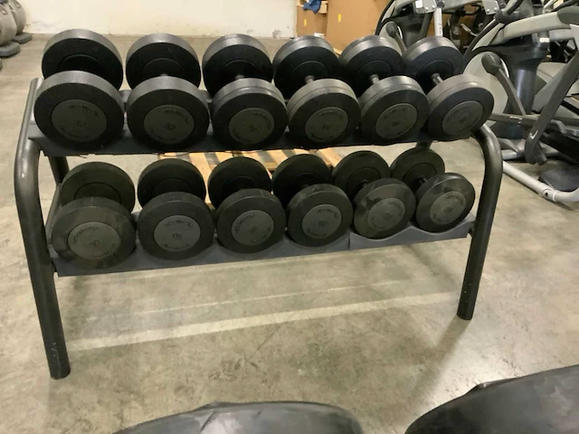 Technogym dumbbell set 2 oplopend 26kg t/m 36kg krachtstation - afbeelding 1 van  6