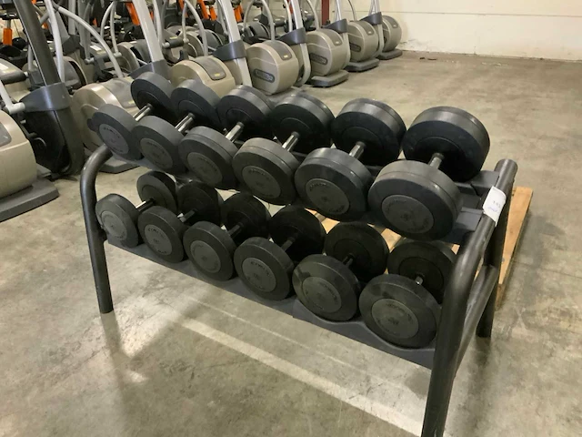 Technogym dumbbell set 2 oplopend 26kg t/m 36kg krachtstation - afbeelding 2 van  6