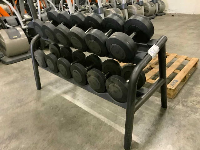 Technogym dumbbell set 2 oplopend 26kg t/m 36kg krachtstation - afbeelding 3 van  6